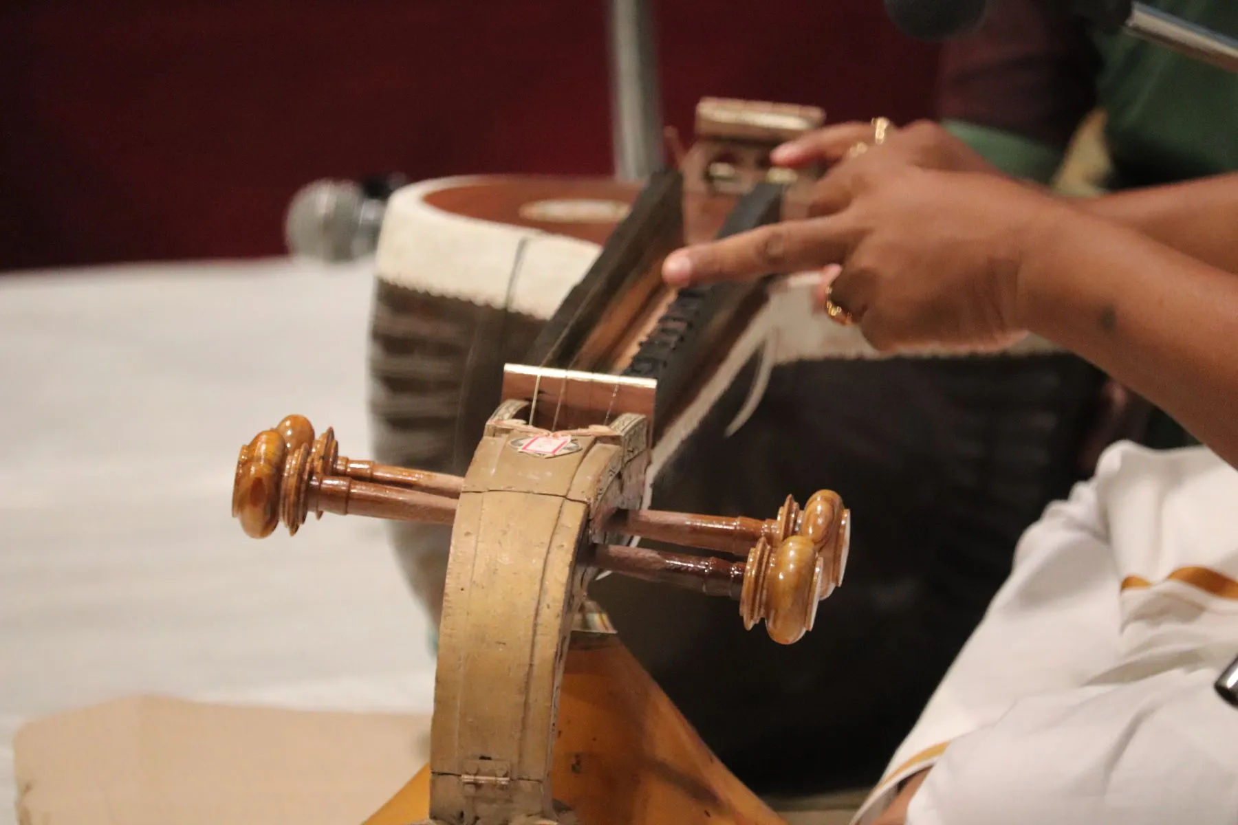 Bridge of the veena, detail