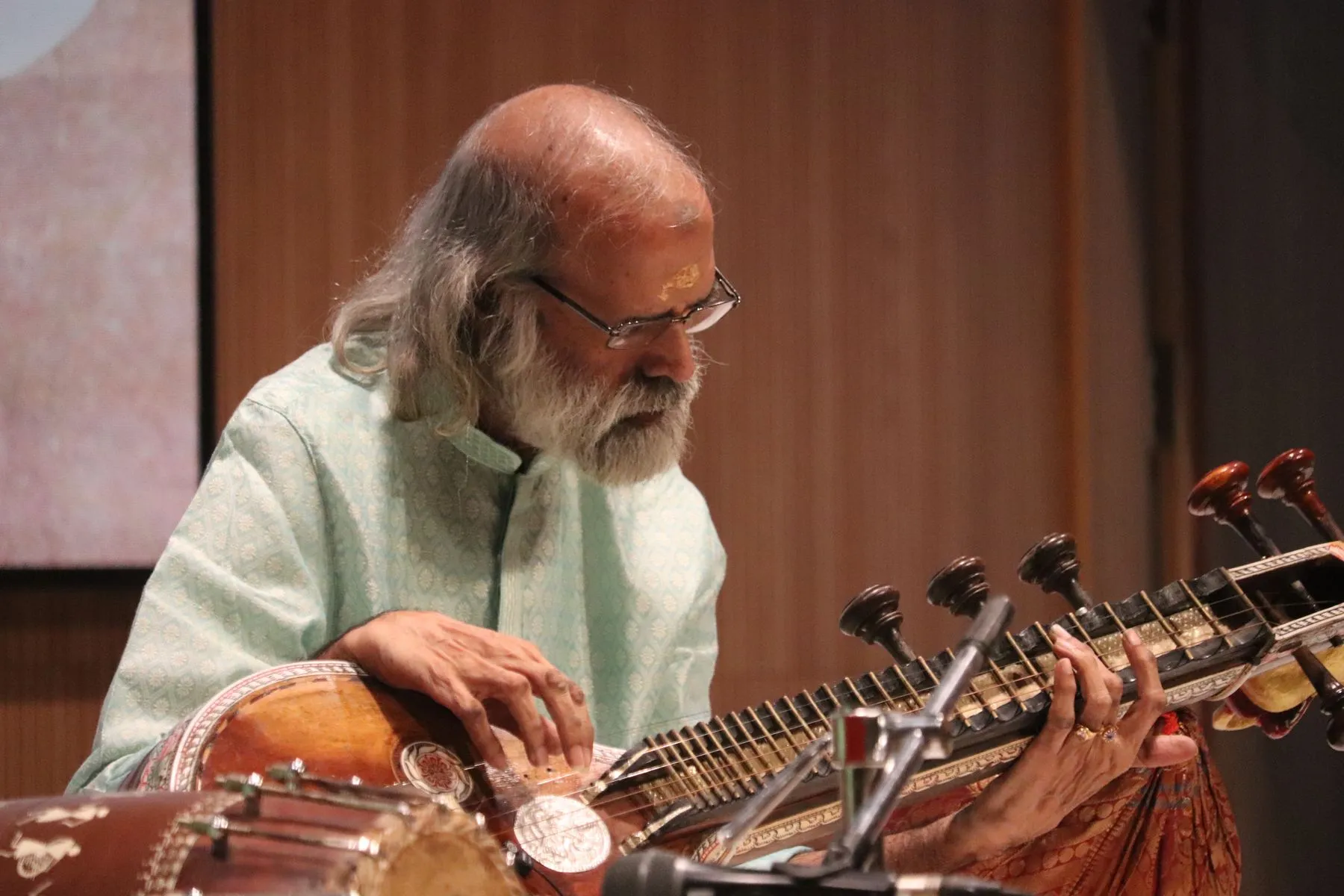Senior bearded vainika, close