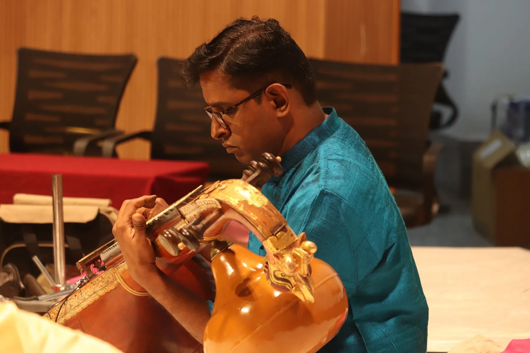 Vainika close, instrument