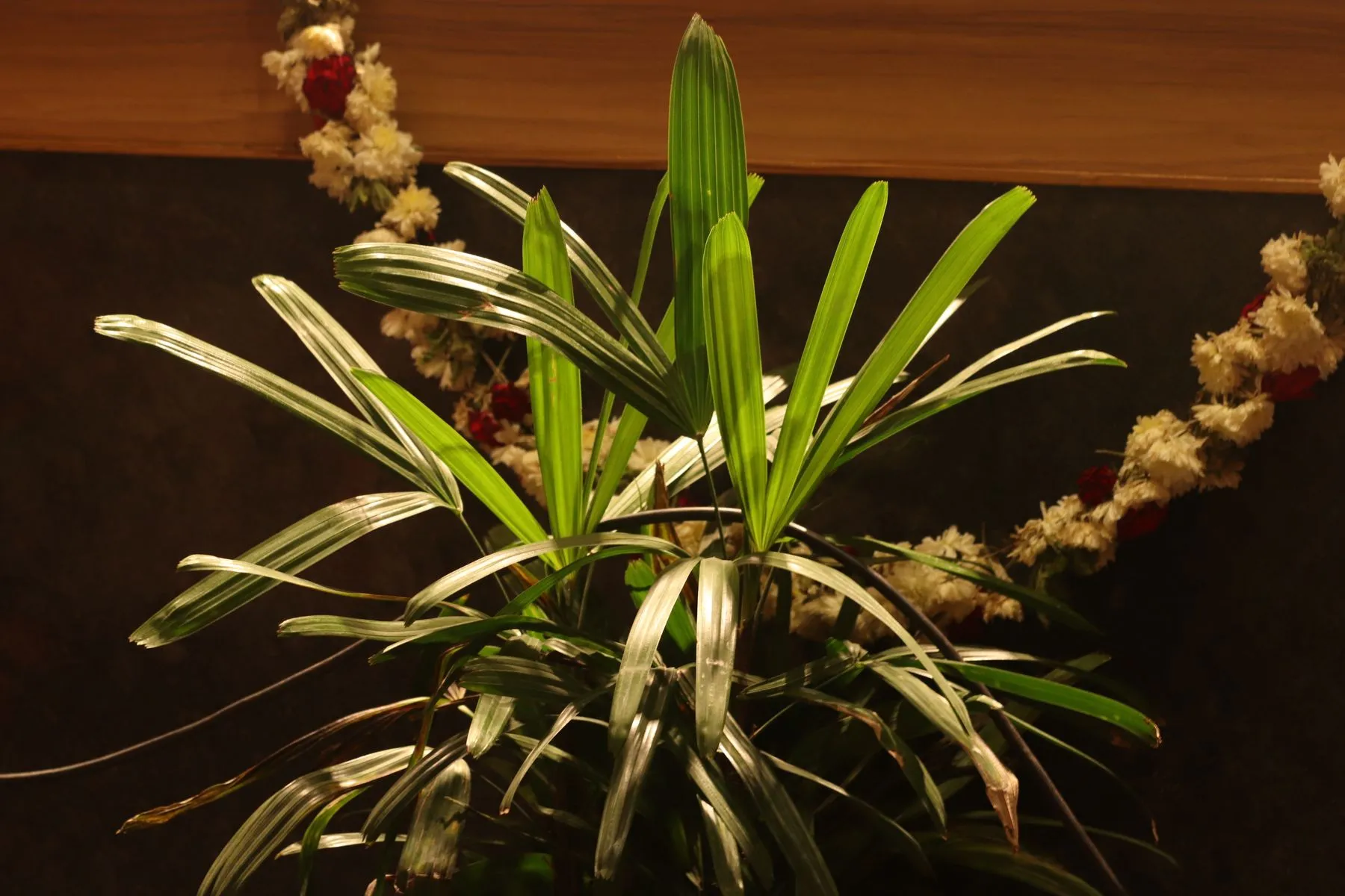 Floral decor detail