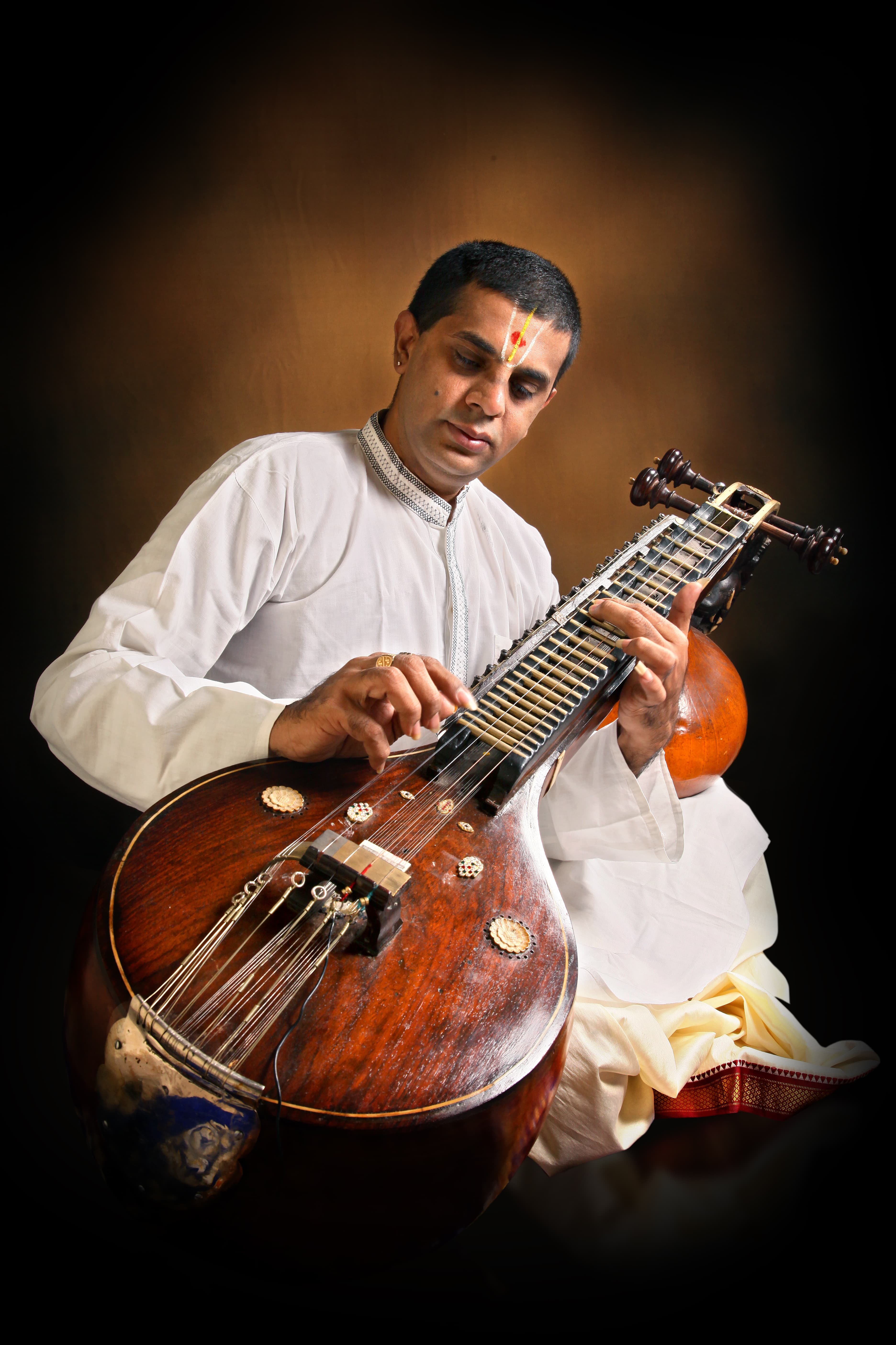 Detailed view of the Veena fretboard