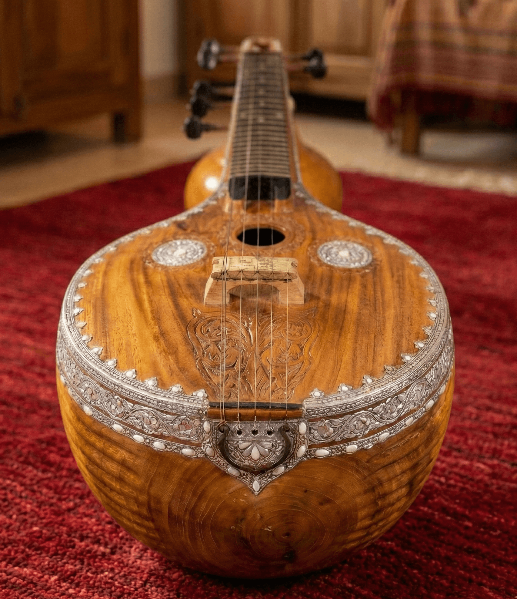 Detailed close-up of the Veena Kudam (resonator)