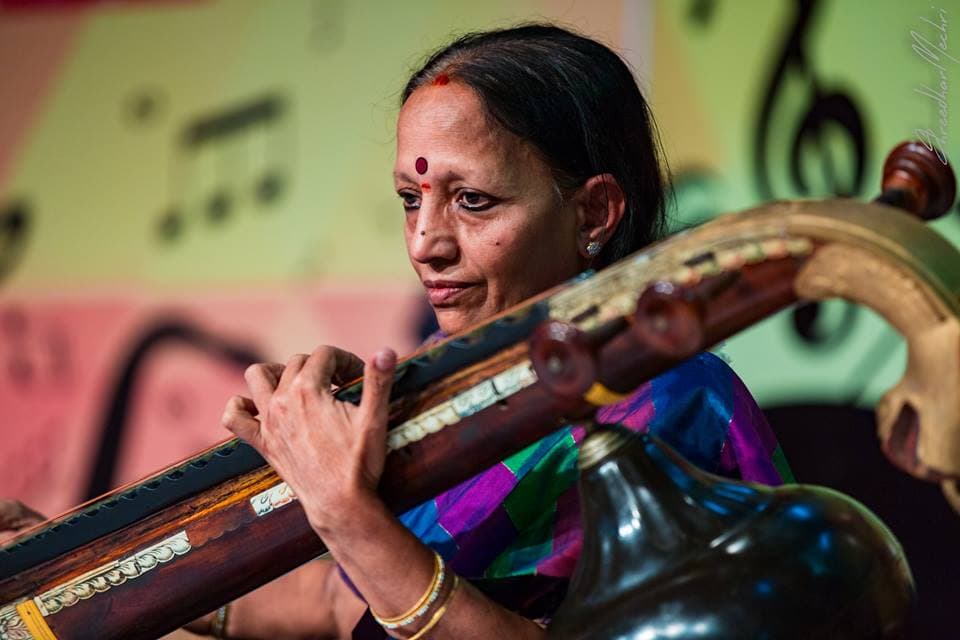 Detailed view of the Veena fretboard