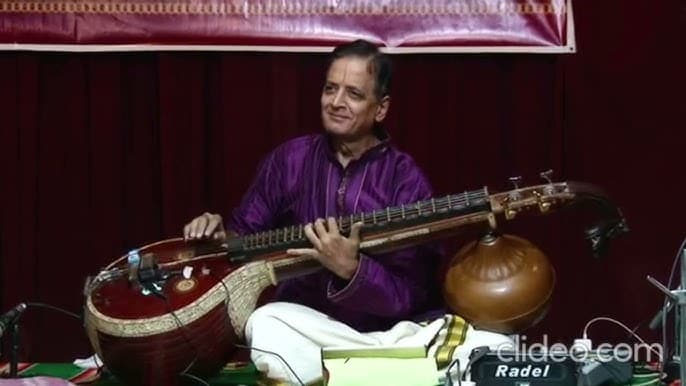 Detailed view of the Veena fretboard